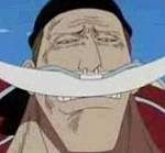 에드워드 뉴게이트