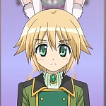 리프 랑크 도 샤 하르바