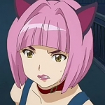 고양이 귀의 다마시 사신