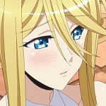 센토레아 시아누스