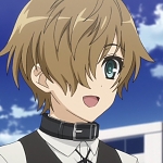 크리스 슈타인벨트