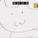 고양이 또는 개