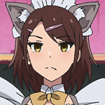 고양이 에이스 메이드