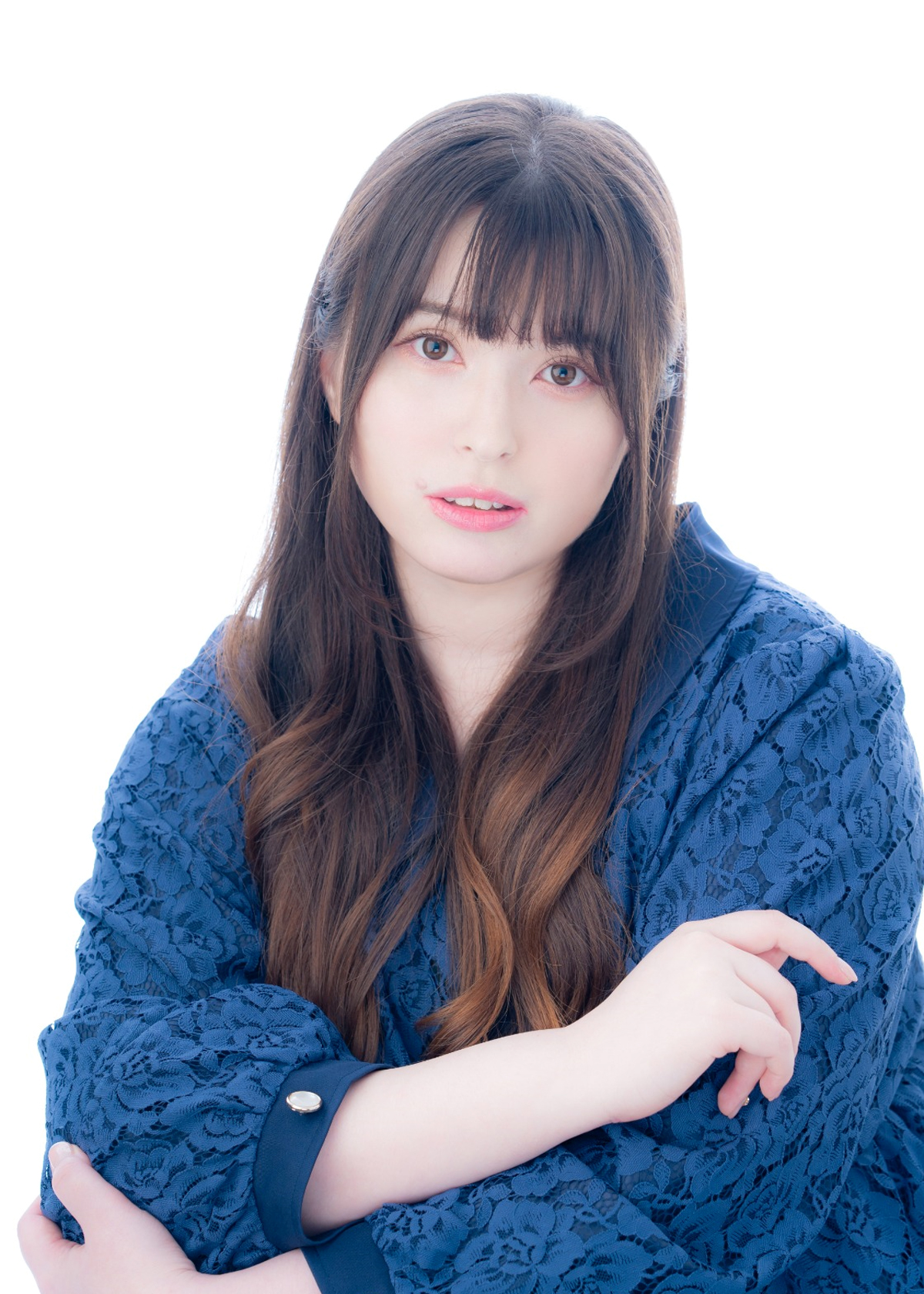 브리드컷 세라 에미