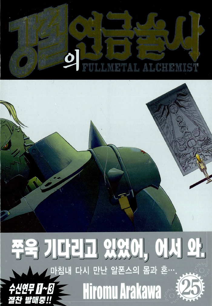 강철의 연금술사 25