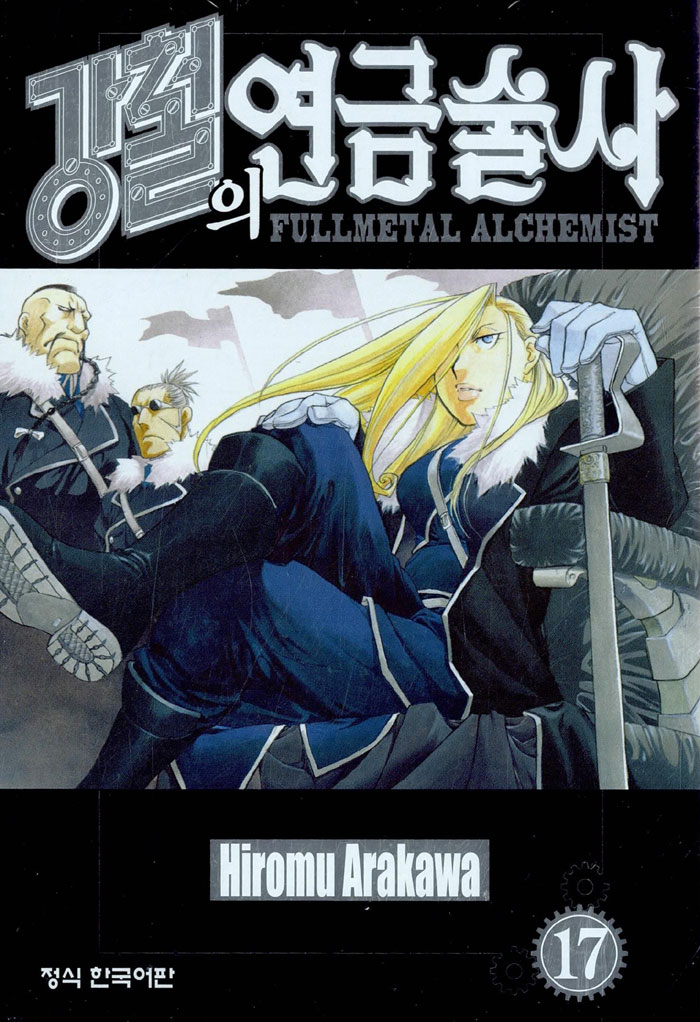 강철의 연금술사 17